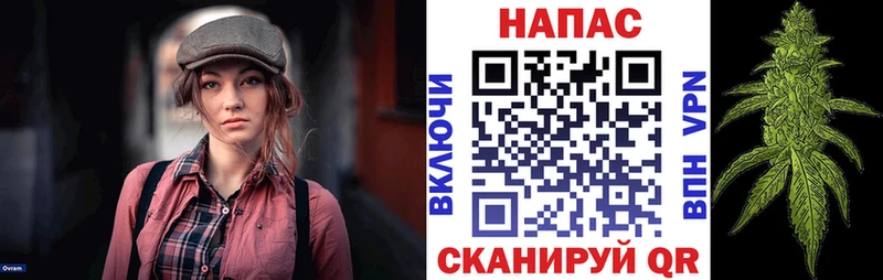 Где можно купить наркотики Отрадная Бошки Шишки  МЕФ  ГАШ 