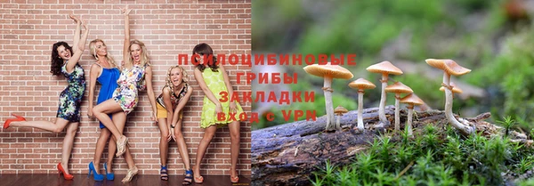 скорость Алексин