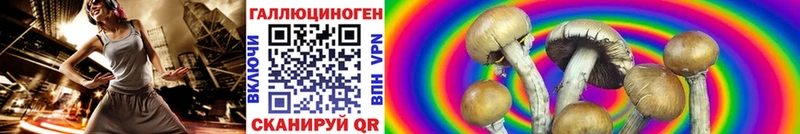 продажа наркотиков  omg ССЫЛКА  Галлюциногенные грибы Cubensis  Отрадная 